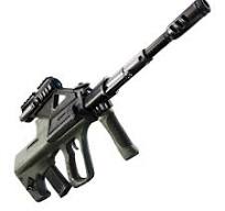 Striker Burst Rifle (Ch3)